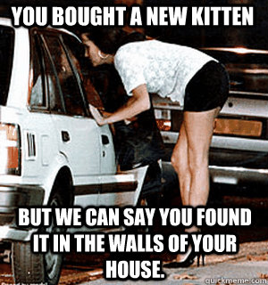 You bought a new kitten But we can say you found it in the walls of your house.  Karma Whore