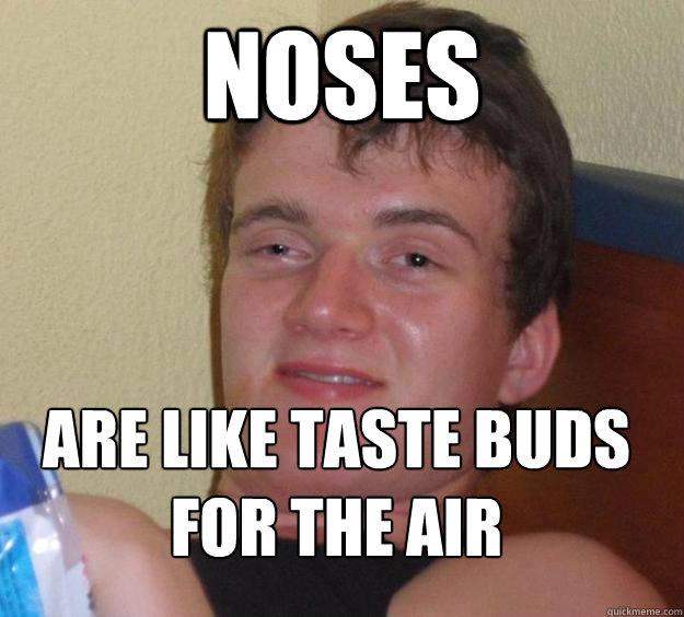 Noses are like taste buds for the air
  10 Guy