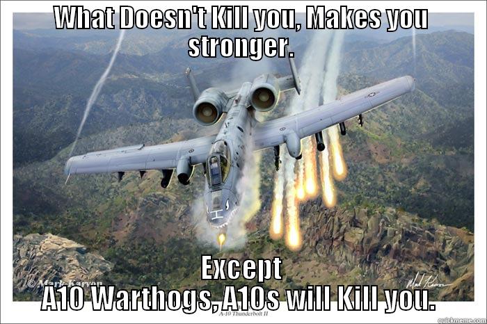 What Doesn't Kill You... - WHAT DOESN'T KILL YOU, MAKES YOU STRONGER. EXCEPT A10 WARTHOGS, A10S WILL KILL YOU.  Misc