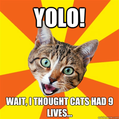 YOLO! Wait, I thought cats had 9 lives... - YOLO! Wait, I thought cats had 9 lives...  Bad Advice Cat