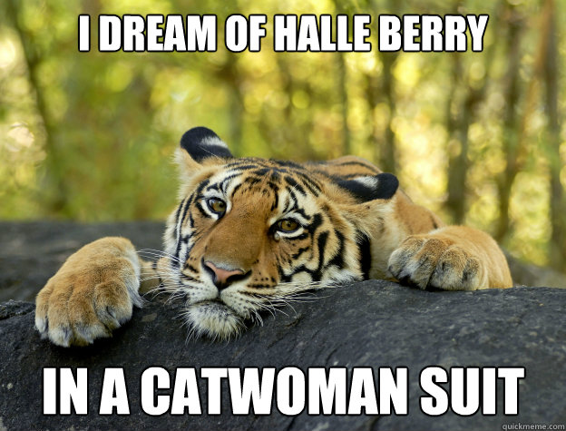 I dream of Halle Berry in a catwoman suit  Confession Tiger