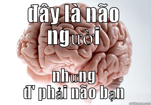 ĐÂY LÀ NÃO NGƯỜI NHƯNG Đ' PHẢI NÃO BẠN Scumbag Brain