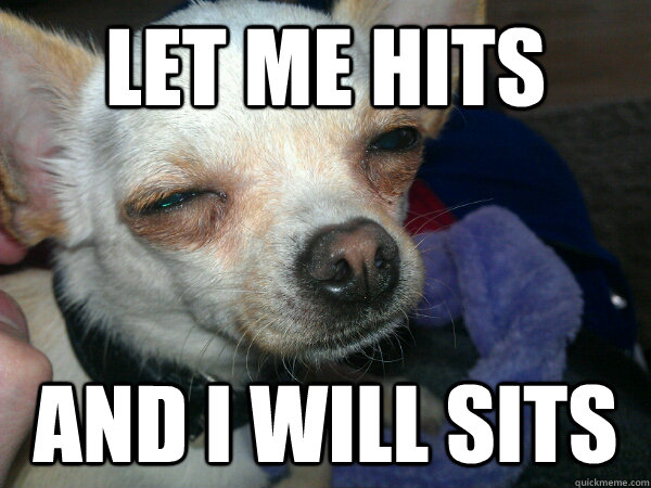 let me hits and i will sits - let me hits and i will sits  7 dog