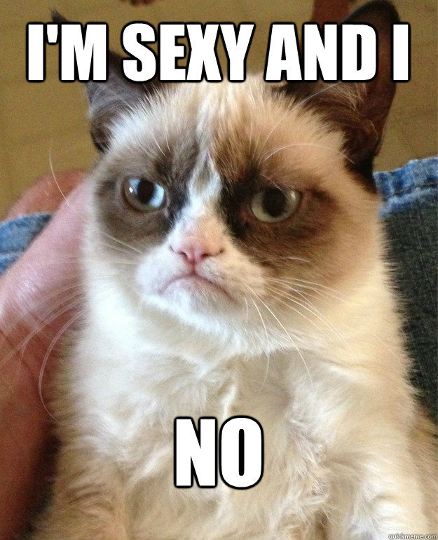 I'm sexy and I  No  Grumpy Cat