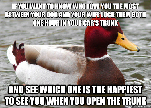 if you want to know who love you the most between your dog and your wife lock them both one hour in your car's trunk
 and see which one is the happiest to see you when you open the trunk  Malicious Advice Mallard