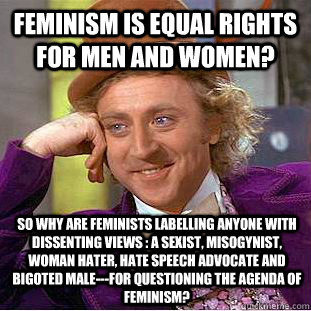 Feminism is equal rights for men and women? So why are feminists labelling anyone with dissenting views : a sexist, misogynist, woman hater, hate speech advocate and bigoted male---for questioning the agenda of feminism?  Condescending Wonka