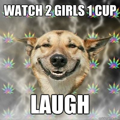 Watch 2 girls 1 cup laugh  Stoner Dog