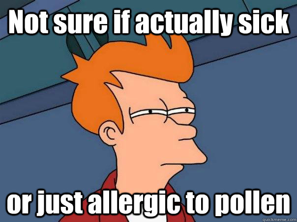 Not sure if actually sick or just allergic to pollen  Futurama Fry