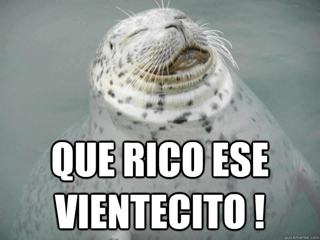 QUE RICO ESE VIENTECITO !  Zen Seal