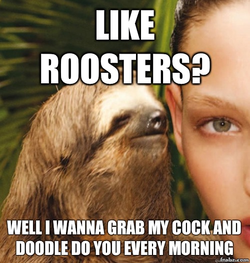 Like roosters? Well I wanna grab my cock and doodle do you every morning   rape sloth