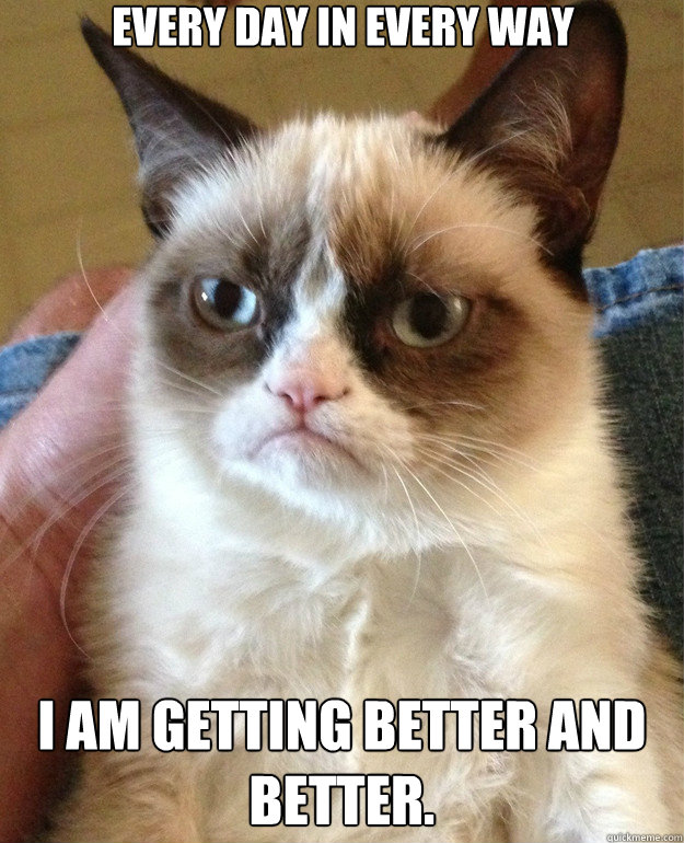 Every day in every way  I am getting better and better.  Grumpy Cat