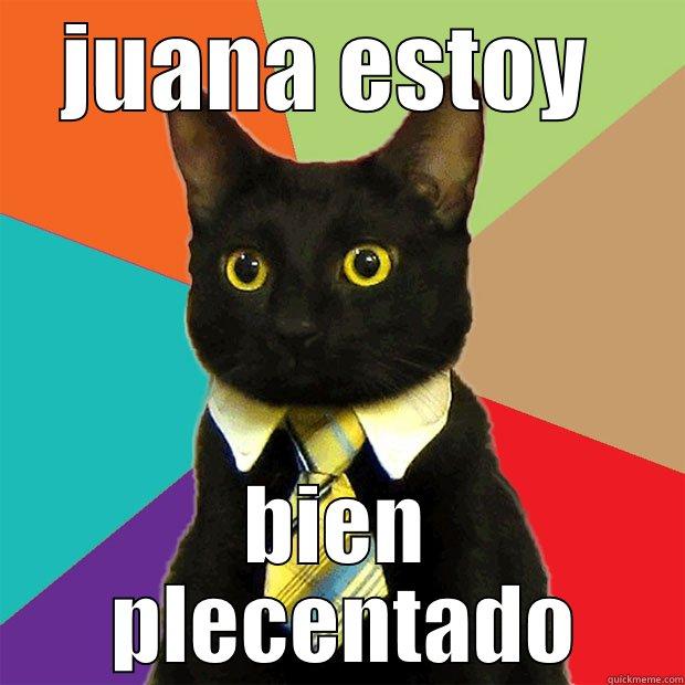 JUANA ESTOY  BIEN  PLECENTADO Business Cat