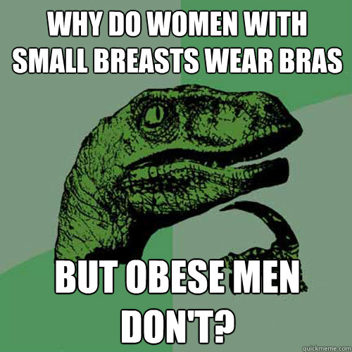 Why do women with small breasts wear bras but obese men don't? - Why do women with small breasts wear bras but obese men don't?  Philosoraptor