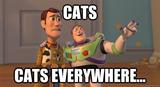 CATS CATS everywhere... - CATS CATS everywhere...  Toy Story Everywhere