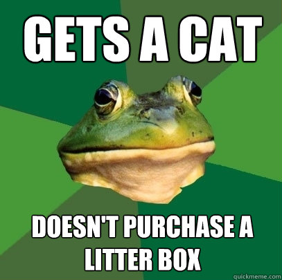 gets a cat doesn't purchase a litter box - gets a cat doesn't purchase a litter box  Foul Bachelor Frog