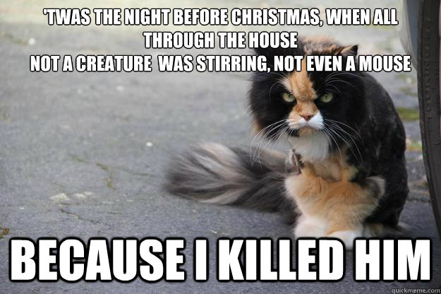 'twas the night before christmas, when all through the house
not a creature  was stirring, not even a mouse Because i killed him - 'twas the night before christmas, when all through the house
not a creature  was stirring, not even a mouse Because i killed him  Angry Cat