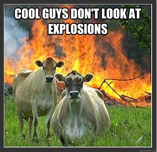 COOL GUYS DON'T LOOK AT EXPLOSIONS   Evil cows