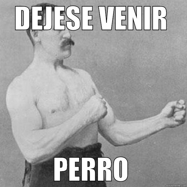 DEJESE VENIR PERRO overly manly man