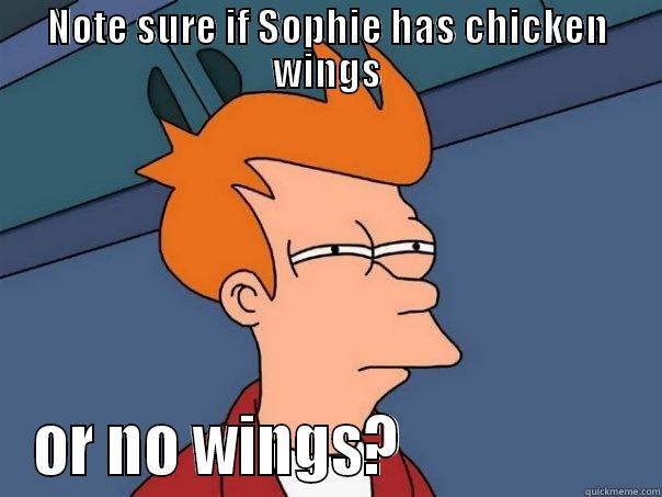 NOTE SURE IF SOPHIE HAS CHICKEN WINGS OR NO WINGS?                   Futurama Fry