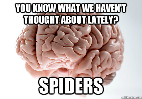 YOU KNOW WHAT WE HAVEN'T THOUGHT ABOUT LATELY? SPIDERS   Scumbag Brain