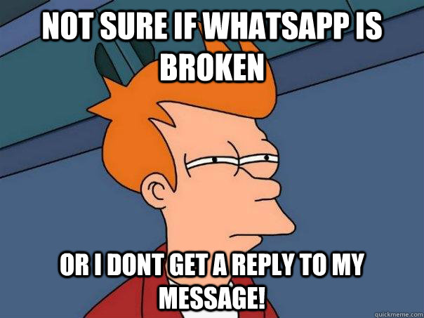 NOT SURE IF WHATSAPP IS BROKEN OR I DONT GET A REPLY TO MY MESSAGE!  Futurama Fry