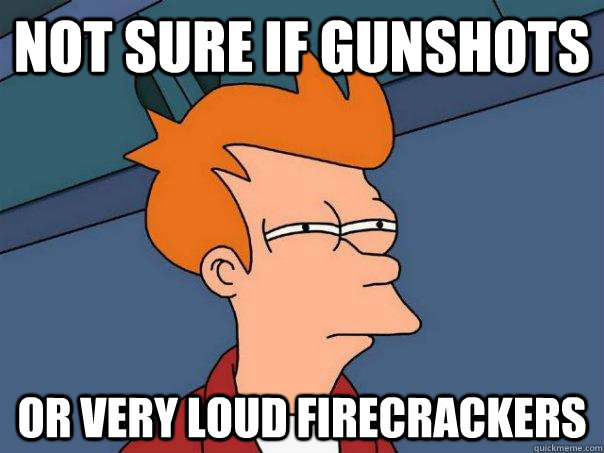 Not sure if gunshots Or very loud firecrackers   Futurama Fry