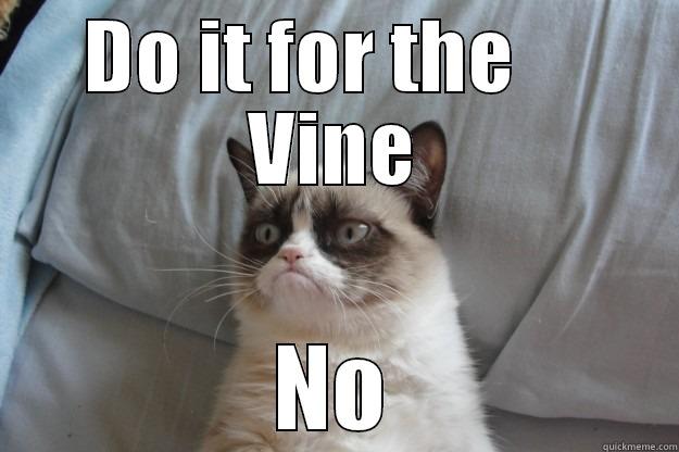 DO IT FOR THE     VINE NO Grumpy Cat