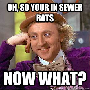 Oh, so your in sewer rats Now what? - Oh, so your in sewer rats Now what?  Condescending Wonka