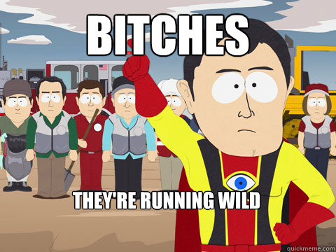 Bitches they're running wild  Captain Hindsight