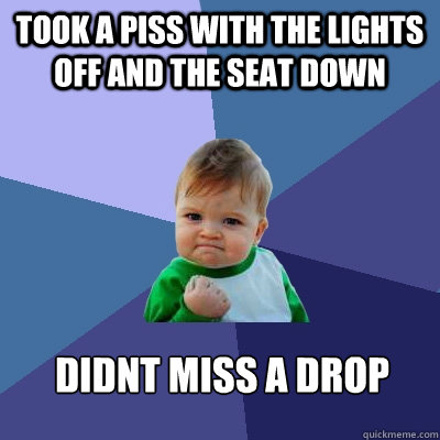 took a piss with the lights off and the seat down didnt miss a drop  Success Kid