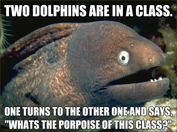 Two dolphins are in a class. One turns to the other one and says, 