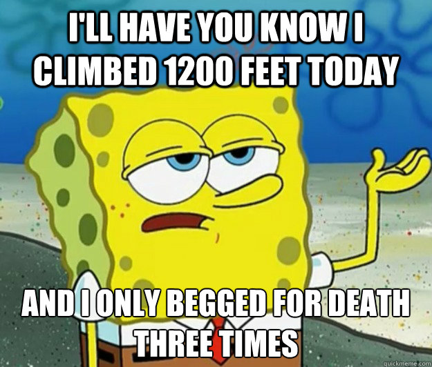 I'll have you know I climbed 1200 feet today And I only begged for death three times  Tough Spongebob