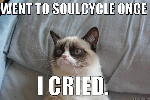 WENT TO SOULCYCLE ONCE  I CRIED. Grumpy Cat