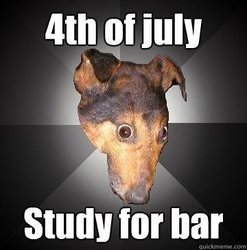 4th of july Study for bar  Depression Dog