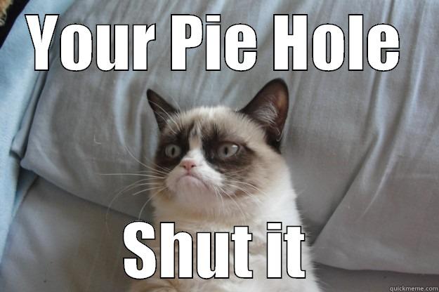 Shut your pie hole - YOUR PIE HOLE SHUT IT Grumpy Cat