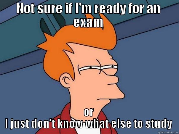 NOT SURE IF I'M READY FOR AN EXAM OR I JUST DON'T KNOW WHAT ELSE TO STUDY Futurama Fry