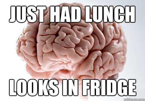 Just had lunch Looks in fridge  Scumbag Brain