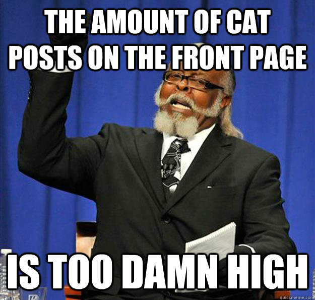 The amount of cat posts on the front page Is too damn high  Jimmy McMillan