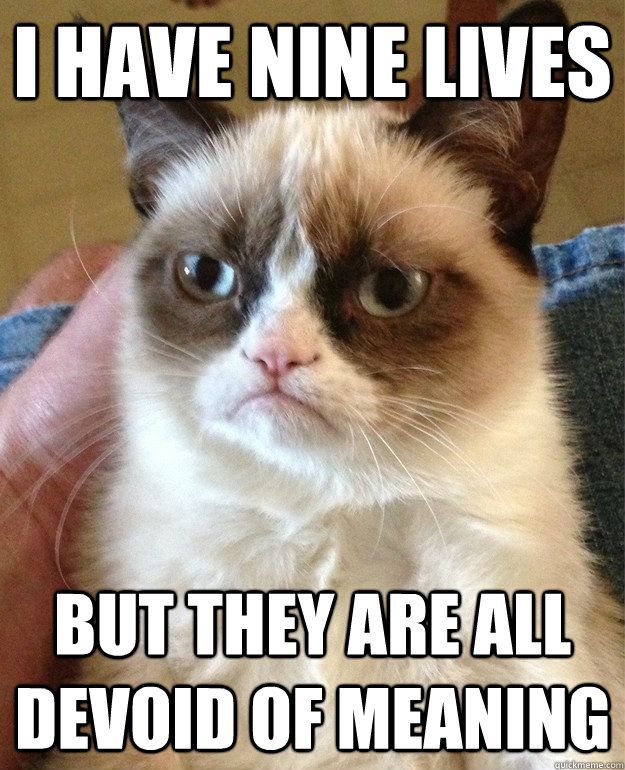 I have nine lives But they are all devoid of meaning  Grumpy Cat