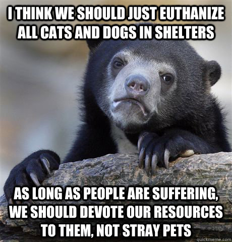 i think we should just euthanize all cats and dogs in shelters as long as people are suffering, we should devote our resources to them, not stray pets  Confession Bear