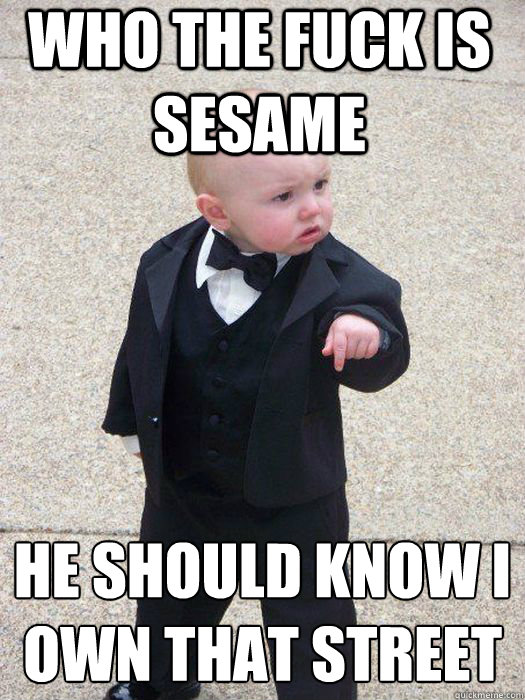 Who the Fuck is Sesame He should know i own that street  Baby Godfather