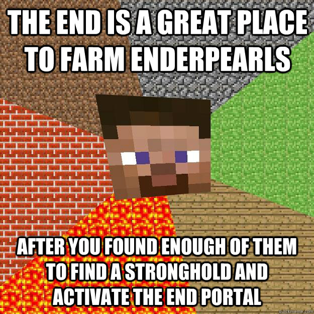 THE END IS A GREAT PLACE TO FARM ENDERPEARLS AFTER YOU FOUND ENOUGH OF THEM TO FIND A STRONGHOLD AND ACTIVATE THE END PORTAL  Minecraft