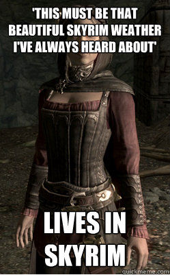 'this must be that beautiful skyrim weather I've always heard about' lives in skyrim  