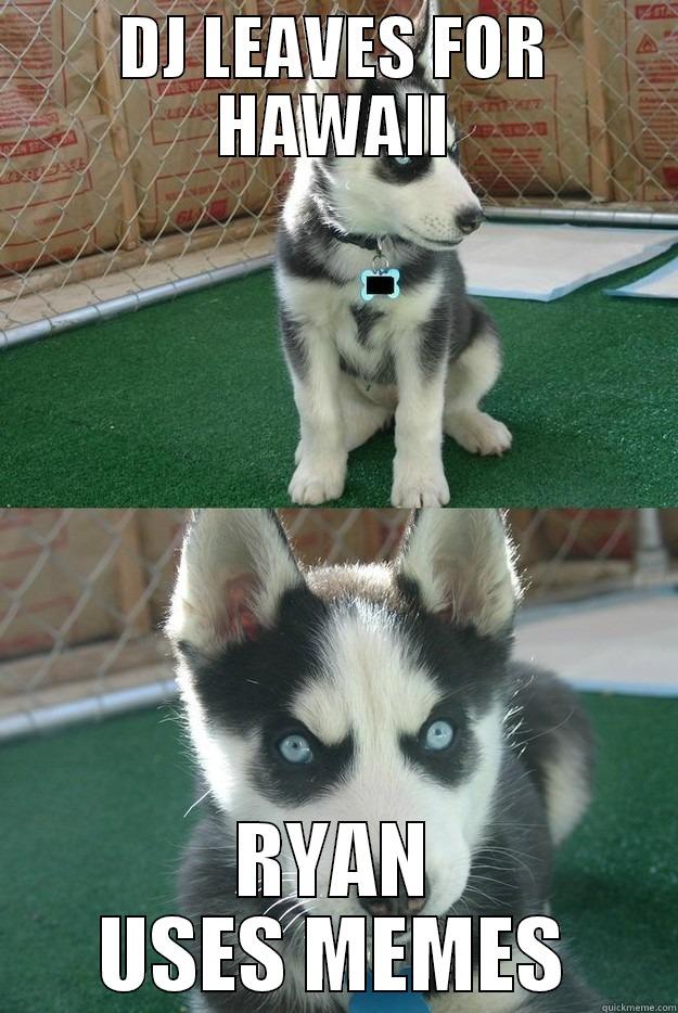 DJ LEAVES FOR HAWAII RYAN USES MEMES Insanity puppy