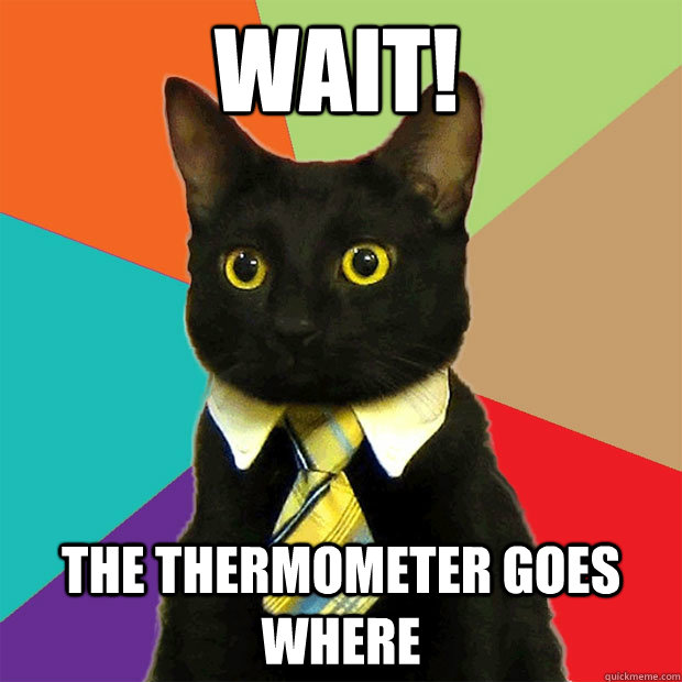 wait! the thermometer goes where  Business Cat