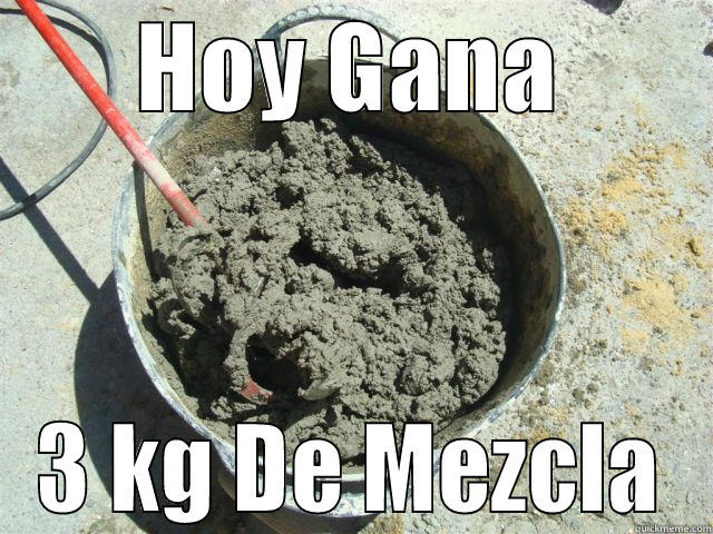 HOY GANA 3 KG DE MEZCLA Misc