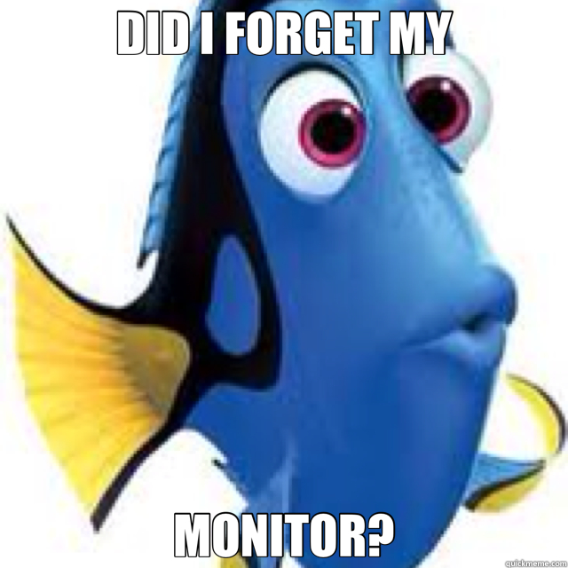 DID I FORGET MY MONITOR?  