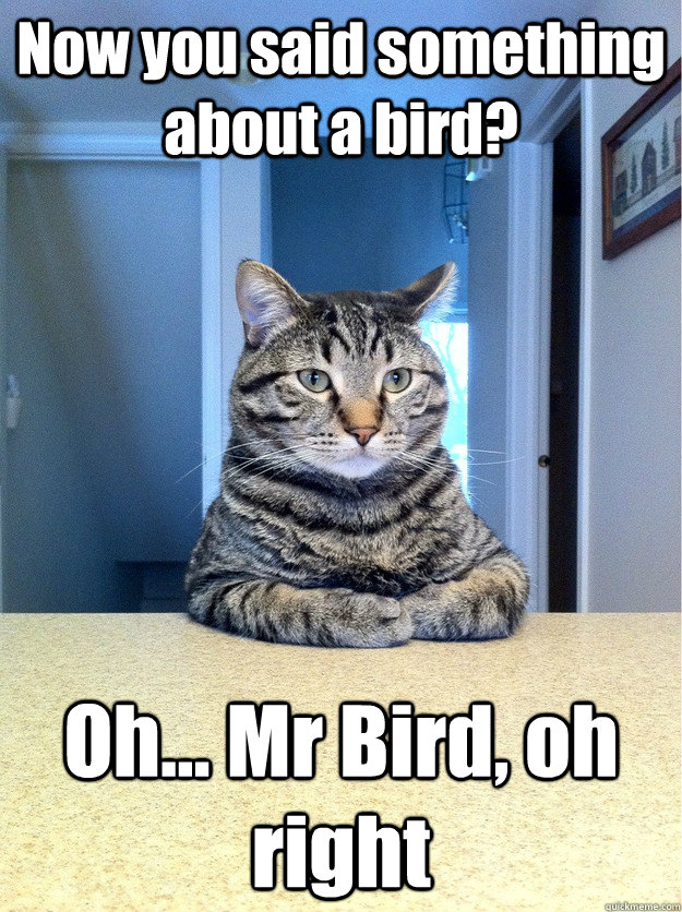 Now you said something about a bird? Oh... Mr Bird, oh right  Chris Hansen Cat