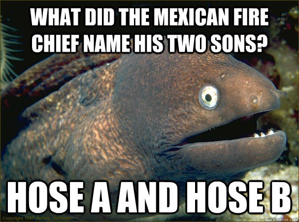 What did the Mexican Fire chief name his two sons? Hose A and Hose B  Bad Joke Eel