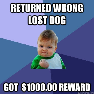 returned wrong lost dog got  $1000.00 reward  Success Kid